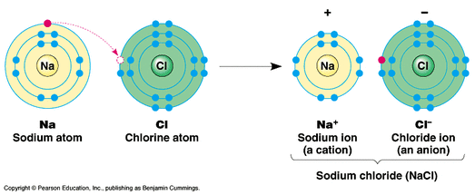 cl ion bonding properties